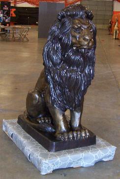 lion_0158.jpg